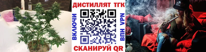 где купить   Приозерск  Дистиллят ТГК концентрат 